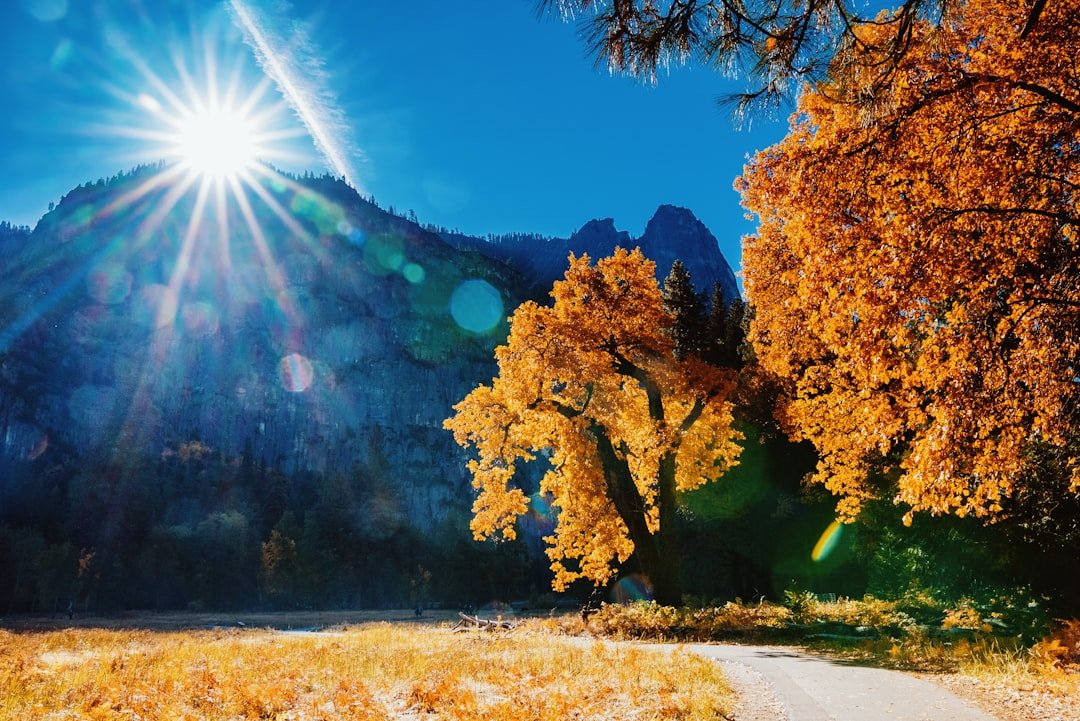 the sun shines brightly over a mountain landscape